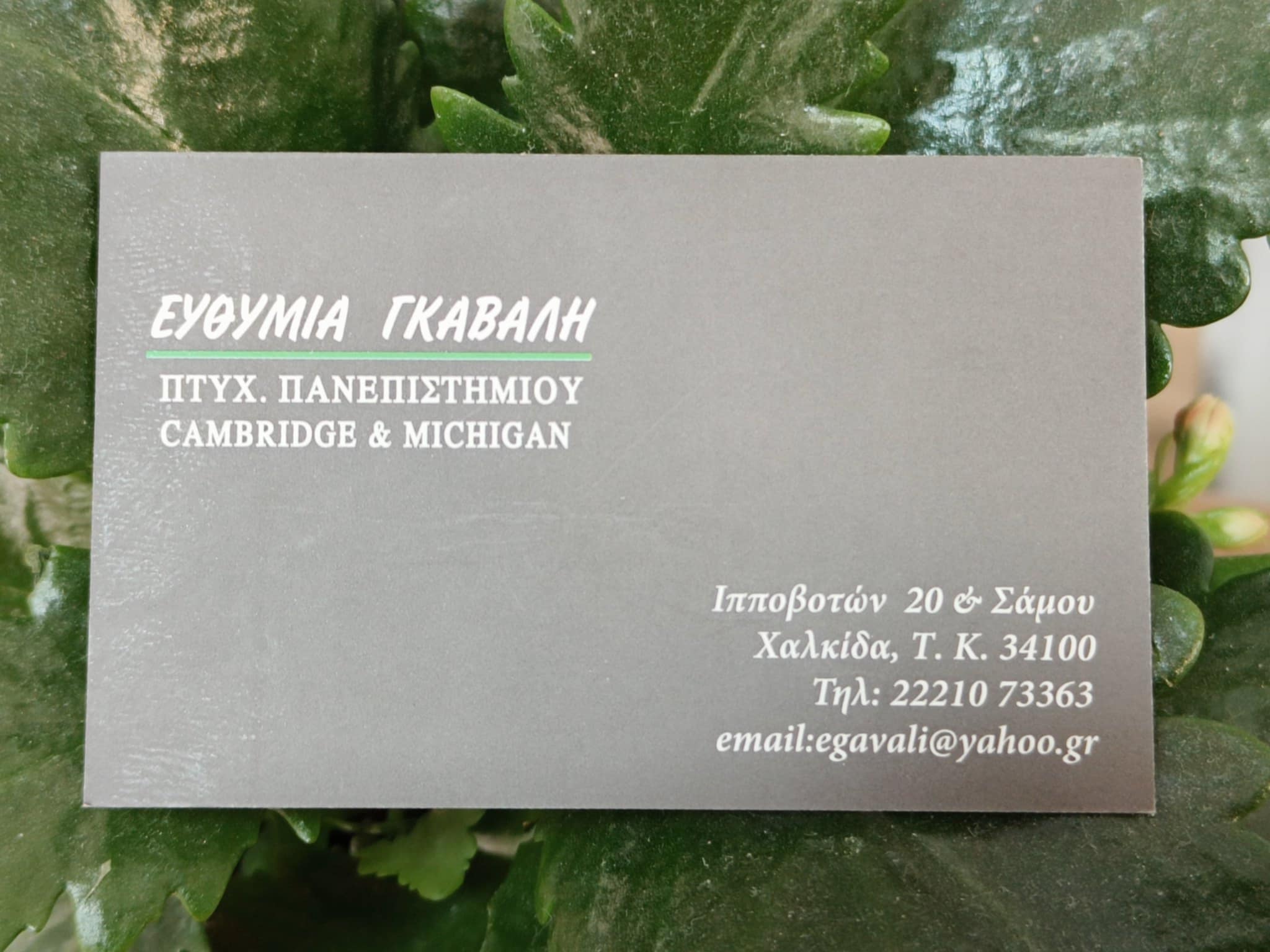 Φροντιστήριο GAVALI TALK Χαλκίδα